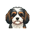 Cavachon illustration