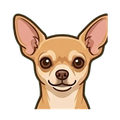 Chihuahua illustration