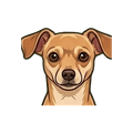 Chiweenie illustration
