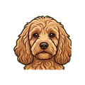 Cockapoo illustration