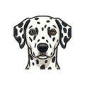 Dalmatian illustration