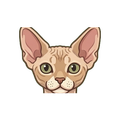 Devon Rex illustration