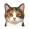 Domestic Shorthair illustration