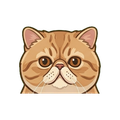Exotic Shorthair illustration
