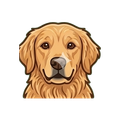 Golden Retriever illustration