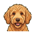Goldendoodle illustration