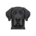 Great Dane illustration