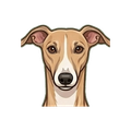Greyhound illustration