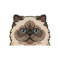 Himalayan illustration