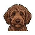Labradoodle illustration
