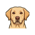 Labrador Retriever illustration