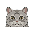 Manx illustration