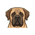 Mastiff illustration