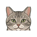 Munchkin illustration