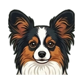 Papillon illustration