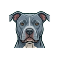 Pitbull illustration