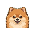 Pomeranian illustration