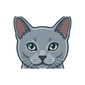 Russian Blue illustration