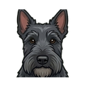 Scottish Terrier illustration