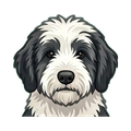 Sheepadoodle illustration