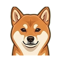 Shiba Inu illustration
