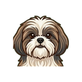 Shih Tzu illustration