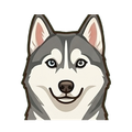 Siberian Husky illustration