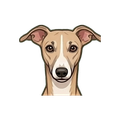 Whippet illustration