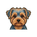Yorkiepoo illustration