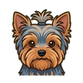 Yorkshire Terrier illustration